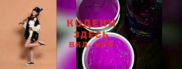 хмурый Богородицк