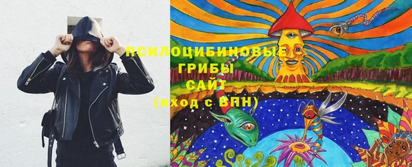 хмурый Богородицк