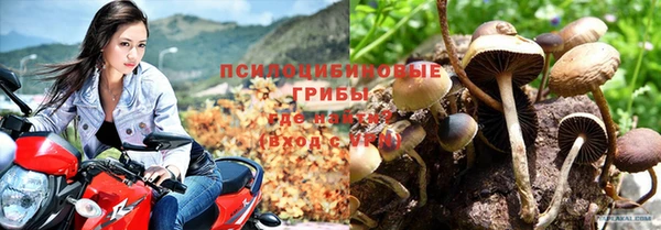 хмурый Богородицк