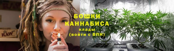 хмурый Богородицк