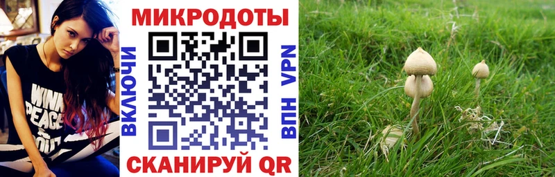 Купить закладки Иннополис Галлюциногенные грибы ЛСД